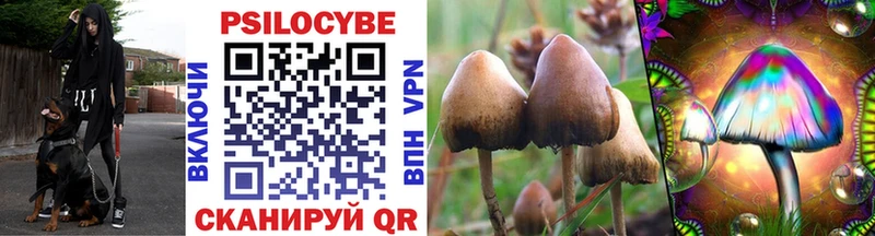Псилоцибиновые грибы прущие грибы  Купить где  Курск 